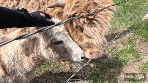 trek travel Black Hills Gravel Bike Tour