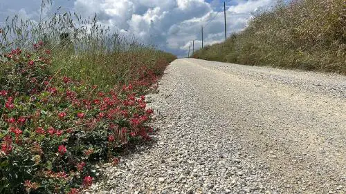 trek travel tuscany gravel trip