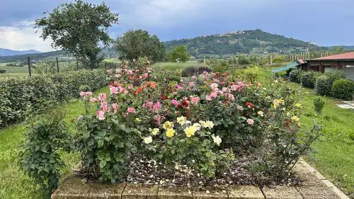trek travel tuscany gravel trip