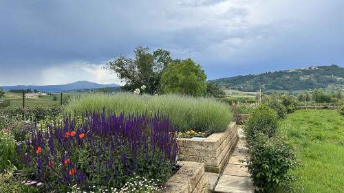 trek travel tuscany gravel trip