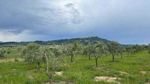 trek travel tuscany gravel trip