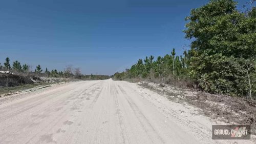 2026 tricoli swamp classic