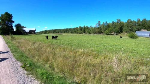 cycling tour of finland archipelago