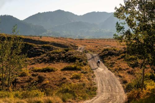 ventum gs1 gravel bike review