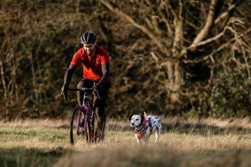 wtb raddler gravel tire review