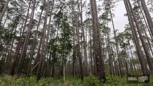 north florida gravel cycling