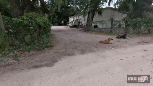 north florida gravel cycling
