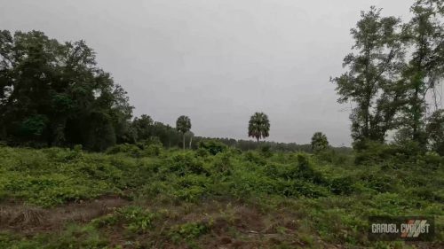 north florida gravel cycling