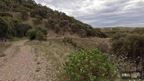 fleurieu peninsula gravel cycling