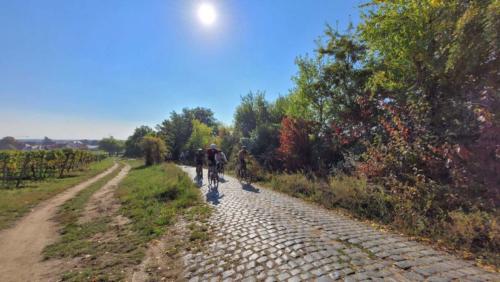 Winestreet-Roubaix Bockenheim, Germany