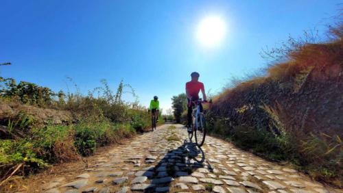 Winestreet-Roubaix Bockenheim, Germany