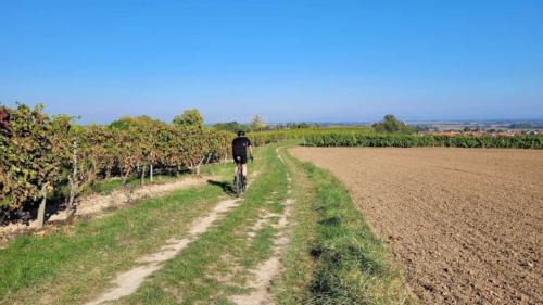 Winestreet-Roubaix Bockenheim, Germany