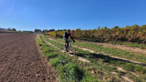Winestreet-Roubaix Bockenheim, Germany