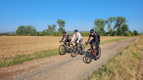 Winestreet-Roubaix Bockenheim, Germany
