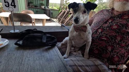 gravel cycling central coast nsw