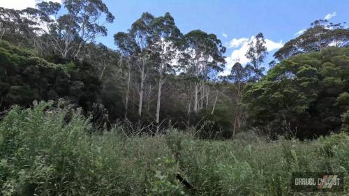 gravel cycling central coast nsw