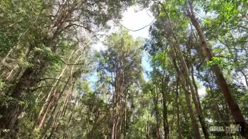 gravel cycling central coast new south wales